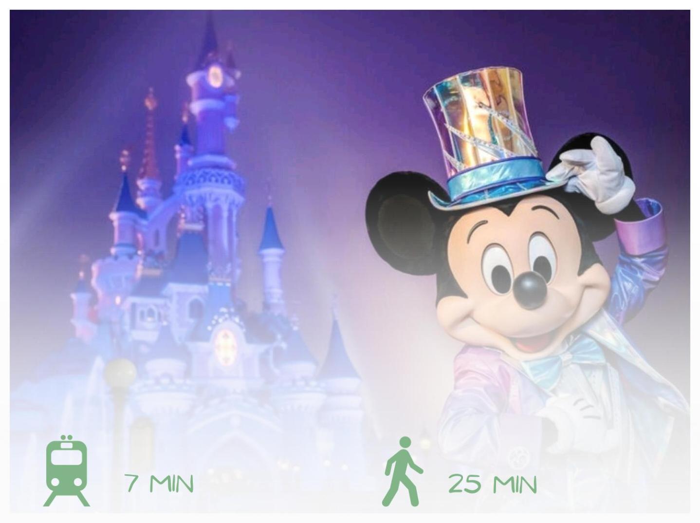 L'organik 7 Min Gare 5 Min Parking Prive Chessy (Seine-et-Marne)